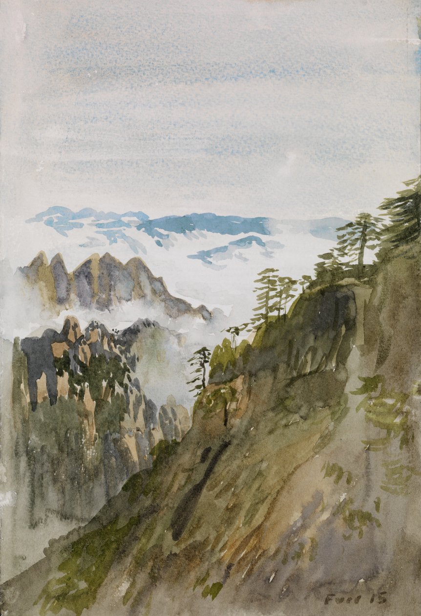黄山松，黄山，2015（纸上水彩） 作者 克里斯蒂安·福尔