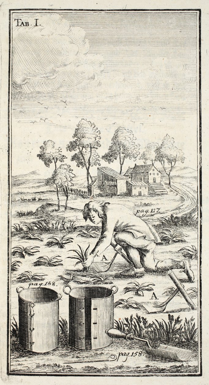 园丁收获，酒吧。 1753-55，图林根州的爱尔福特 作者 克里斯蒂安·雷查特