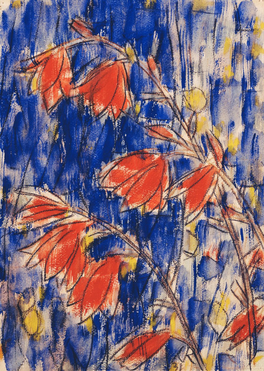 红色花朵；红色花朵 作者 克里斯蒂安·罗夫斯