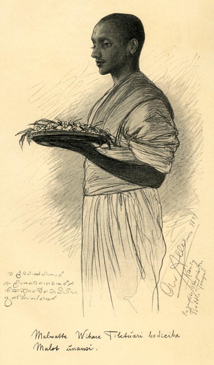 佛教僧侣，锡兰，1898年。 作者 克里斯蒂安·威廉·艾尔斯