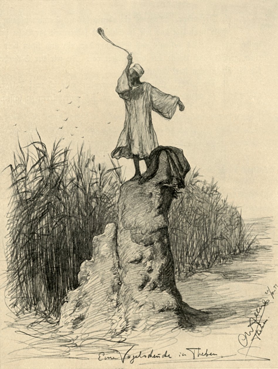 男子吓唬鸟类，埃及底比斯，1898年。 作者 克里斯蒂安·威廉·艾尔斯
