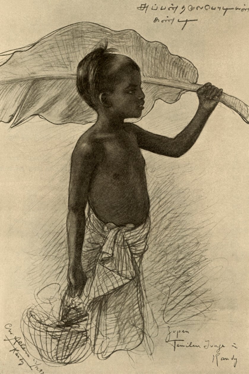 泰米尔男孩，康提，锡兰，1898年。 作者 克里斯蒂安·威廉·艾尔斯