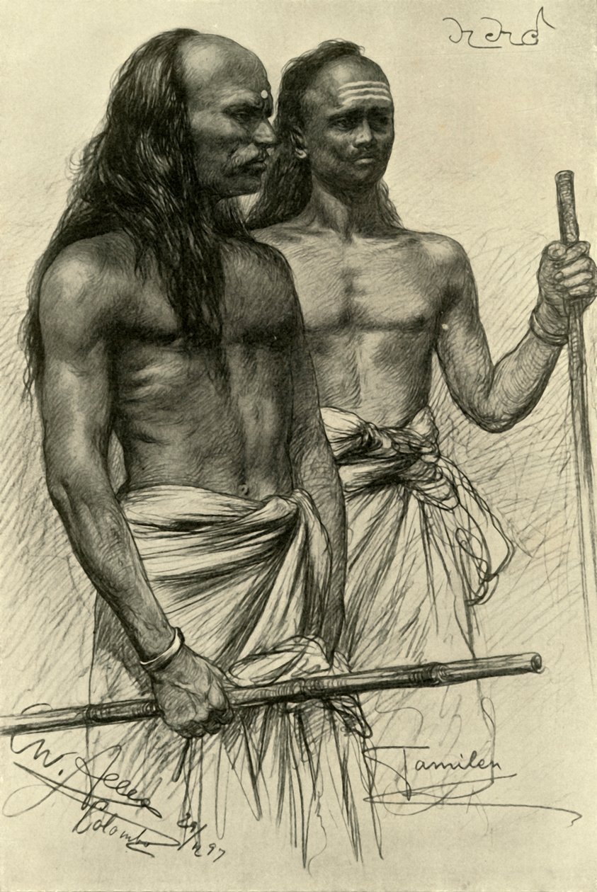 泰米尔人，科伦坡，锡兰，1898年。 作者 克里斯蒂安·威廉·艾尔斯