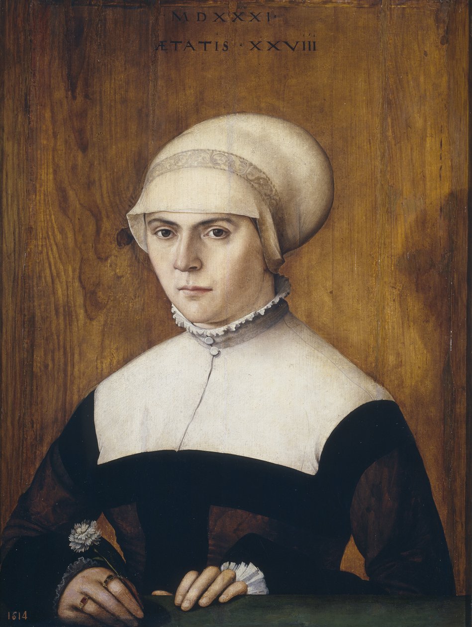 JörgZörer的妻子，1531年28岁， 作者 克里斯多夫·安伯格