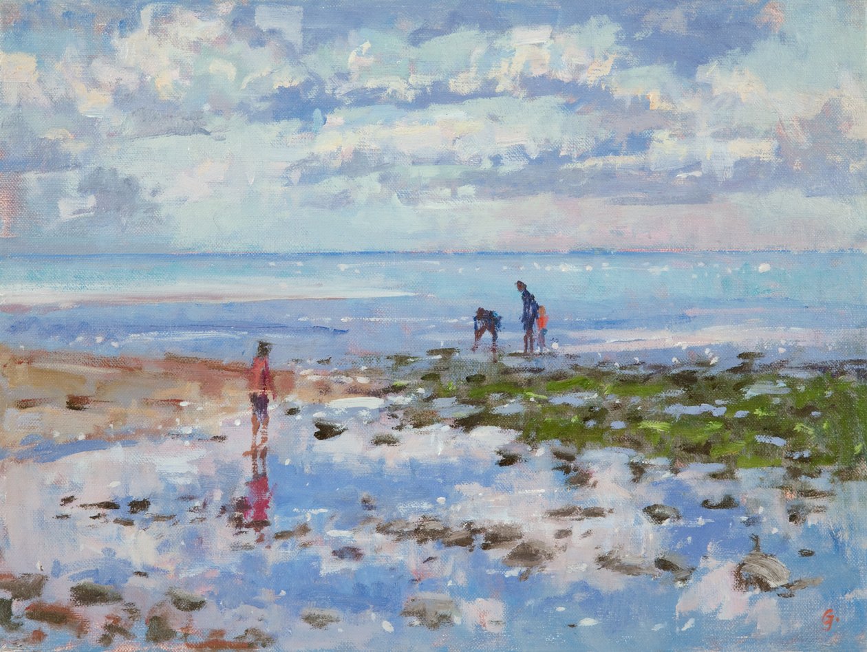 低潮Charmouth，2012年 作者 克里斯托弗·格兰维尔