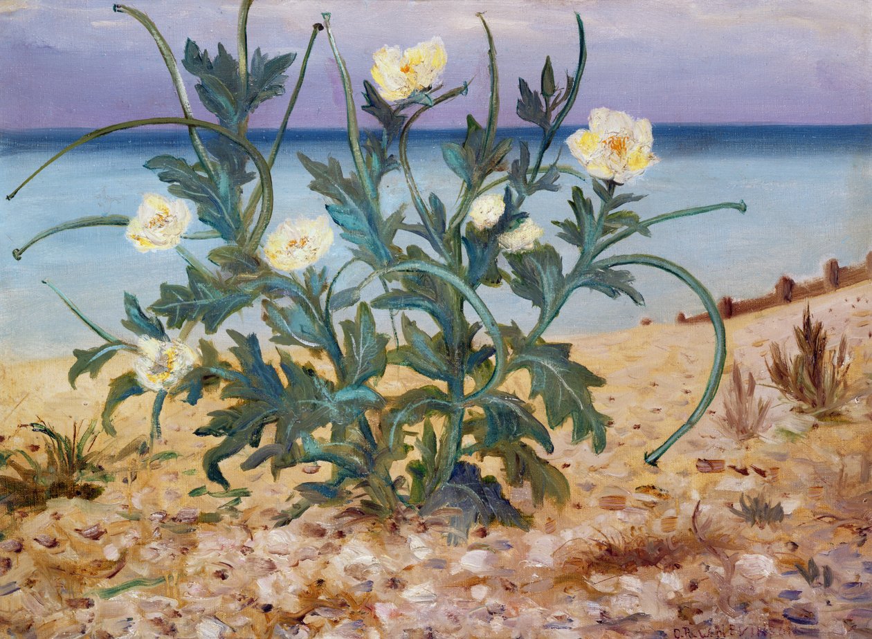 沙丘，东海岸，1944年 作者 克里斯托弗·理查德·怀恩·内文森