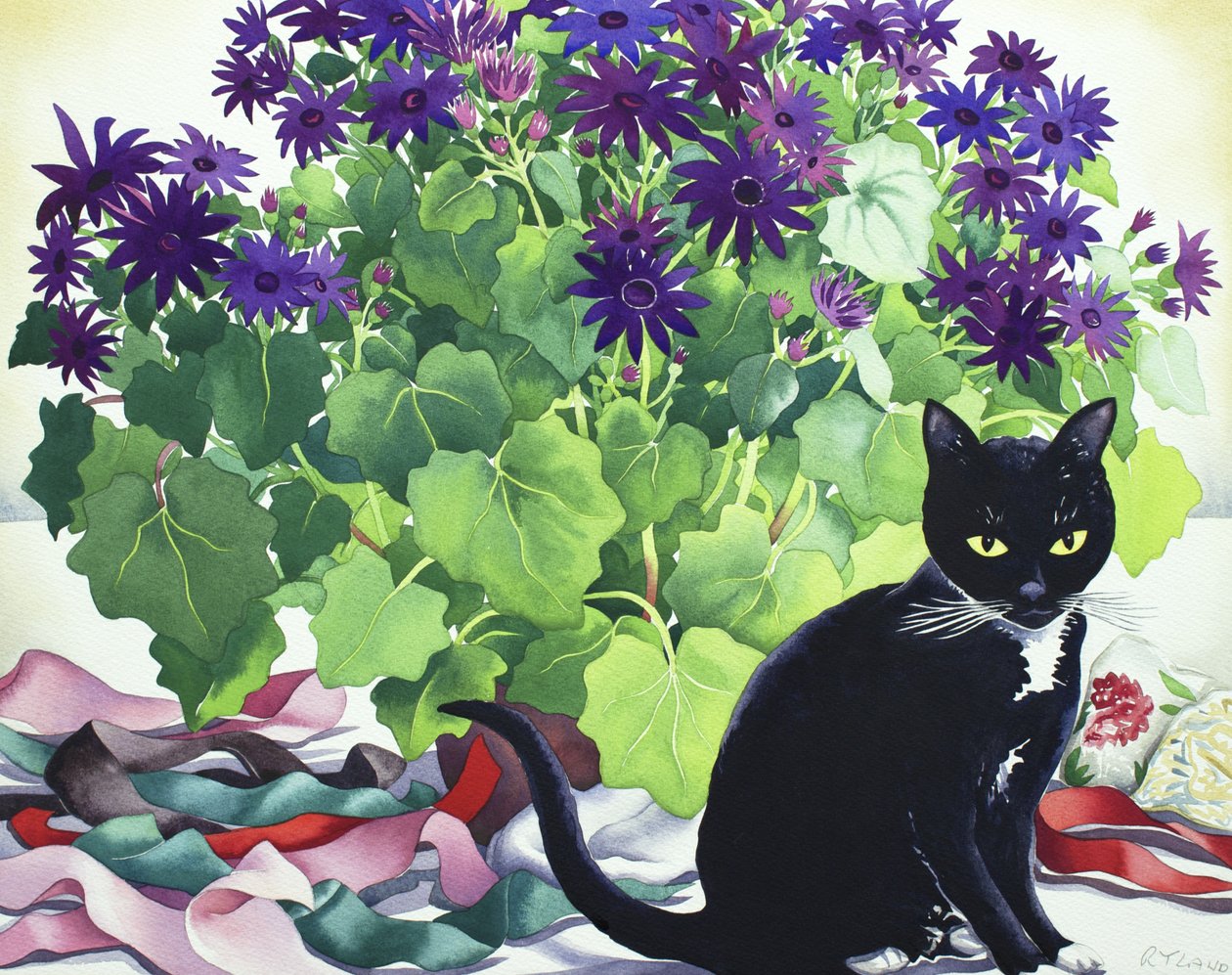 Senetti工厂和Cat 作者 克里斯托弗·莱兰