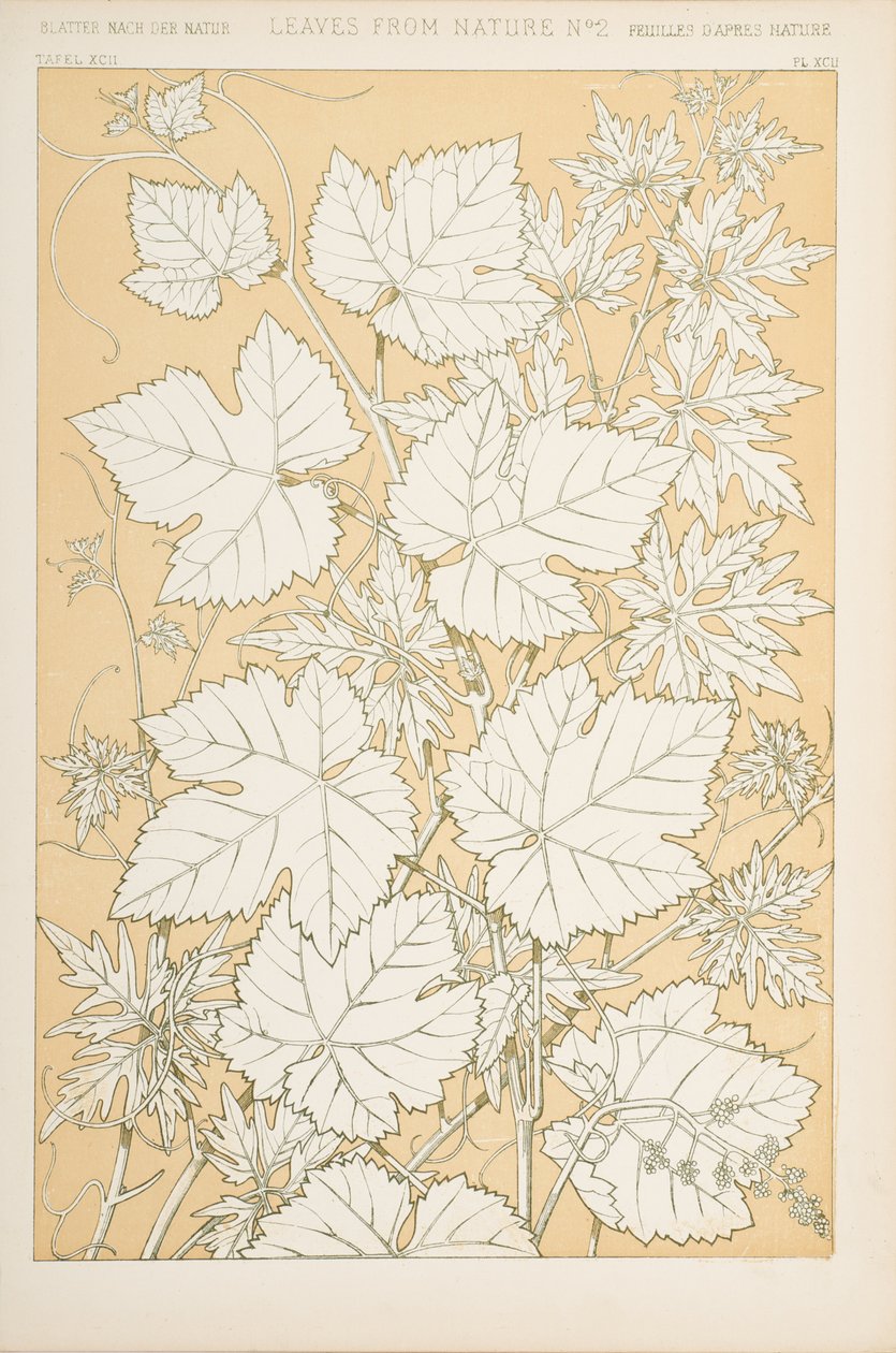 叶子来自大自然，1868年（chromolitho） 作者 克里斯托弗·德莱赛