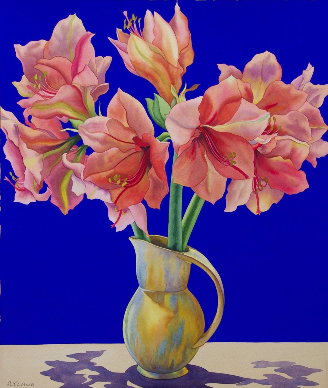 阿玛丽利斯在一个水罐里，2007年（纸上水粉和水粉） 作者 克里斯托弗·莱兰