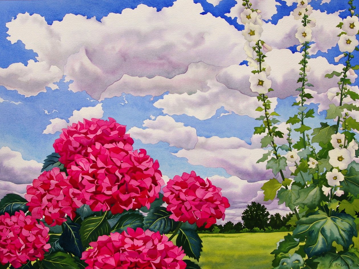 花在草地的边缘，2008年（纸上的wc） 作者 克里斯托弗·莱兰
