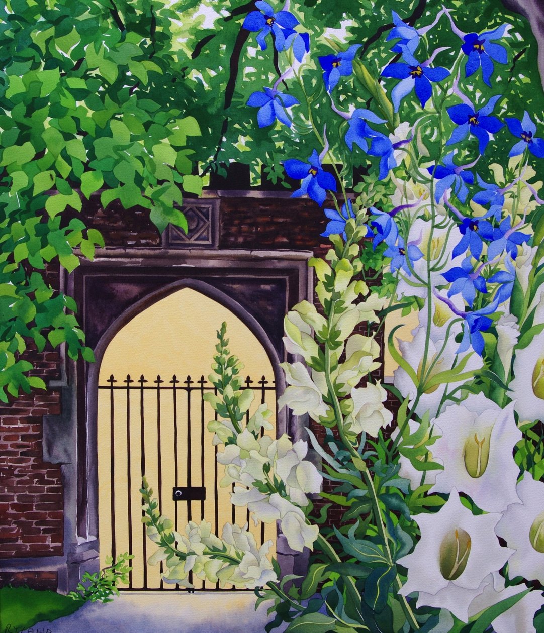 由阳光照射的门户鲜花，2008年（纸上wc） 作者 克里斯托弗·莱兰