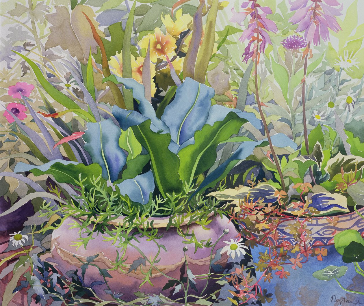 花园与植物，2000（wc在纸上） 作者 克里斯托弗·莱兰