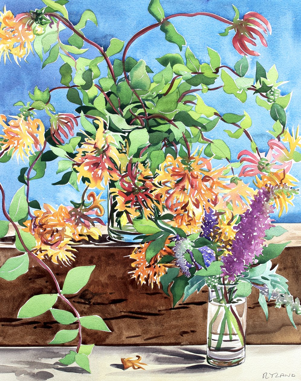 金银花 作者 克里斯托弗·莱兰