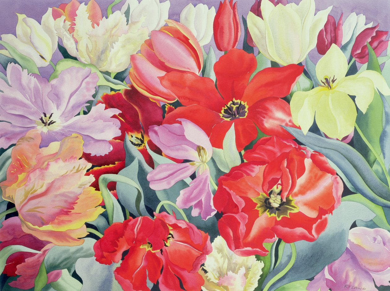 Massed Tulips，2003（纸上写着） 作者 克里斯托弗·莱兰