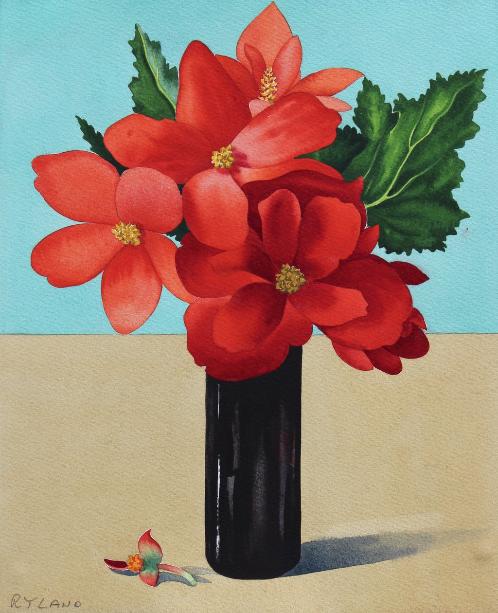 Red Begonias (watercolour on paper) 作者 克里斯托弗·莱兰