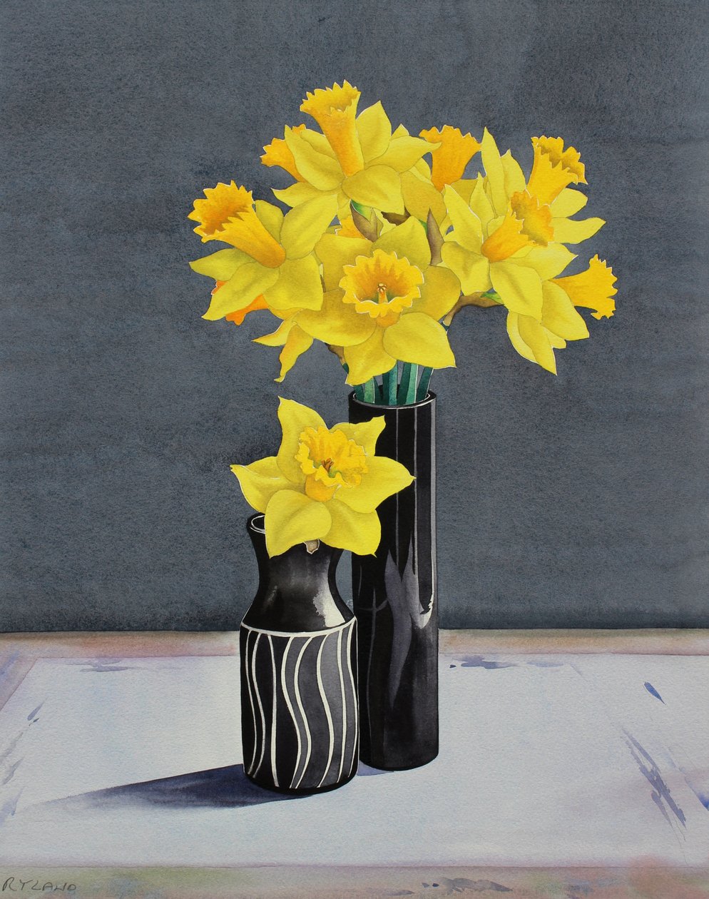 Still Life Daffodils (watercolour on paper) 作者 克里斯托弗·莱兰