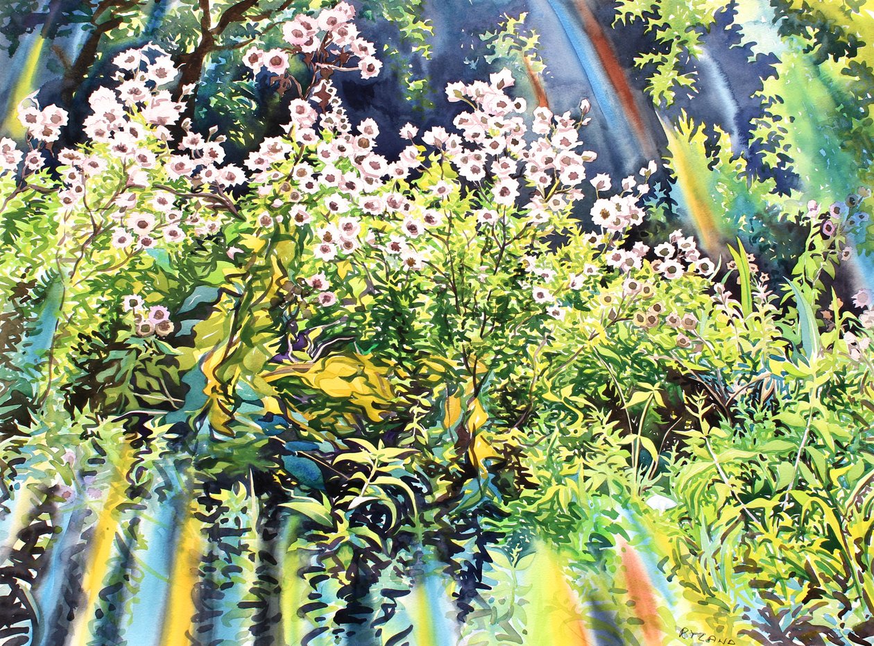 Thistledown, 2016（纸上水彩画） 作者 克里斯托弗·莱兰