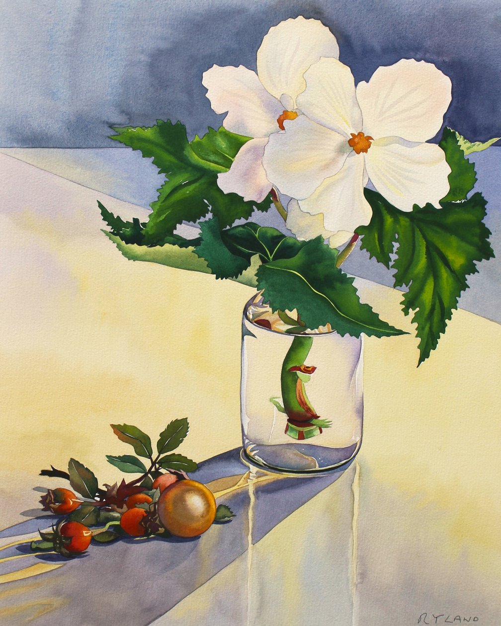 White Begonia and Rosehips 作者 克里斯托弗·莱兰