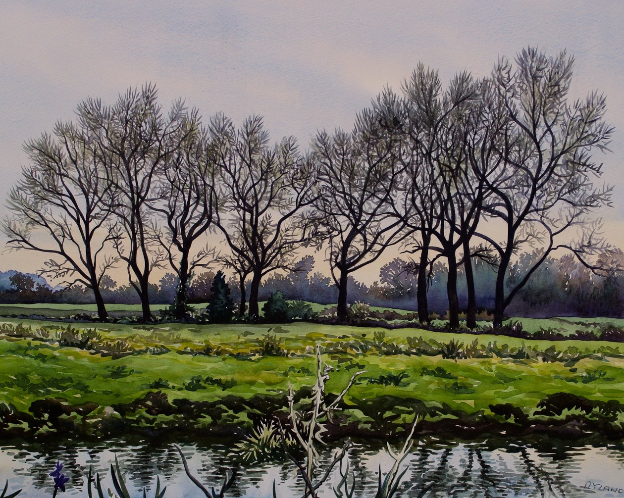 Winter Trees (watercolour on paper) 作者 克里斯托弗·莱兰