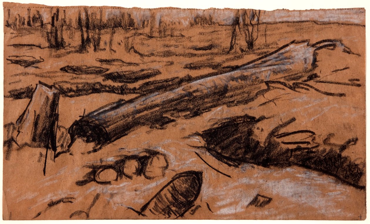 一棵倒下的树，约1914年。 作者 克里斯托弗·威廉姆斯