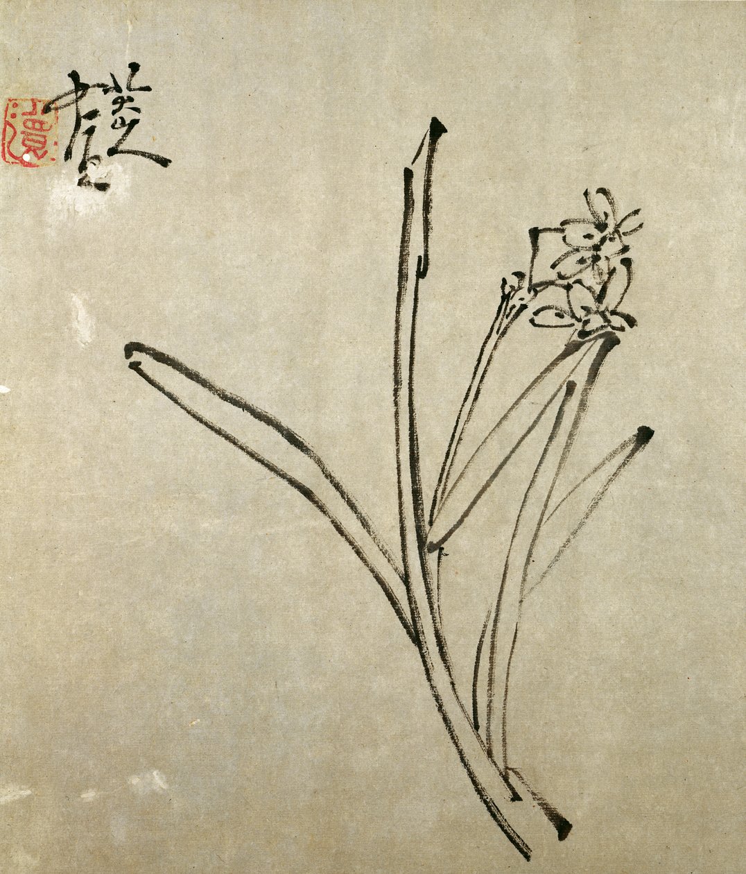 水仙（墨水在纸上） 作者 楚塔