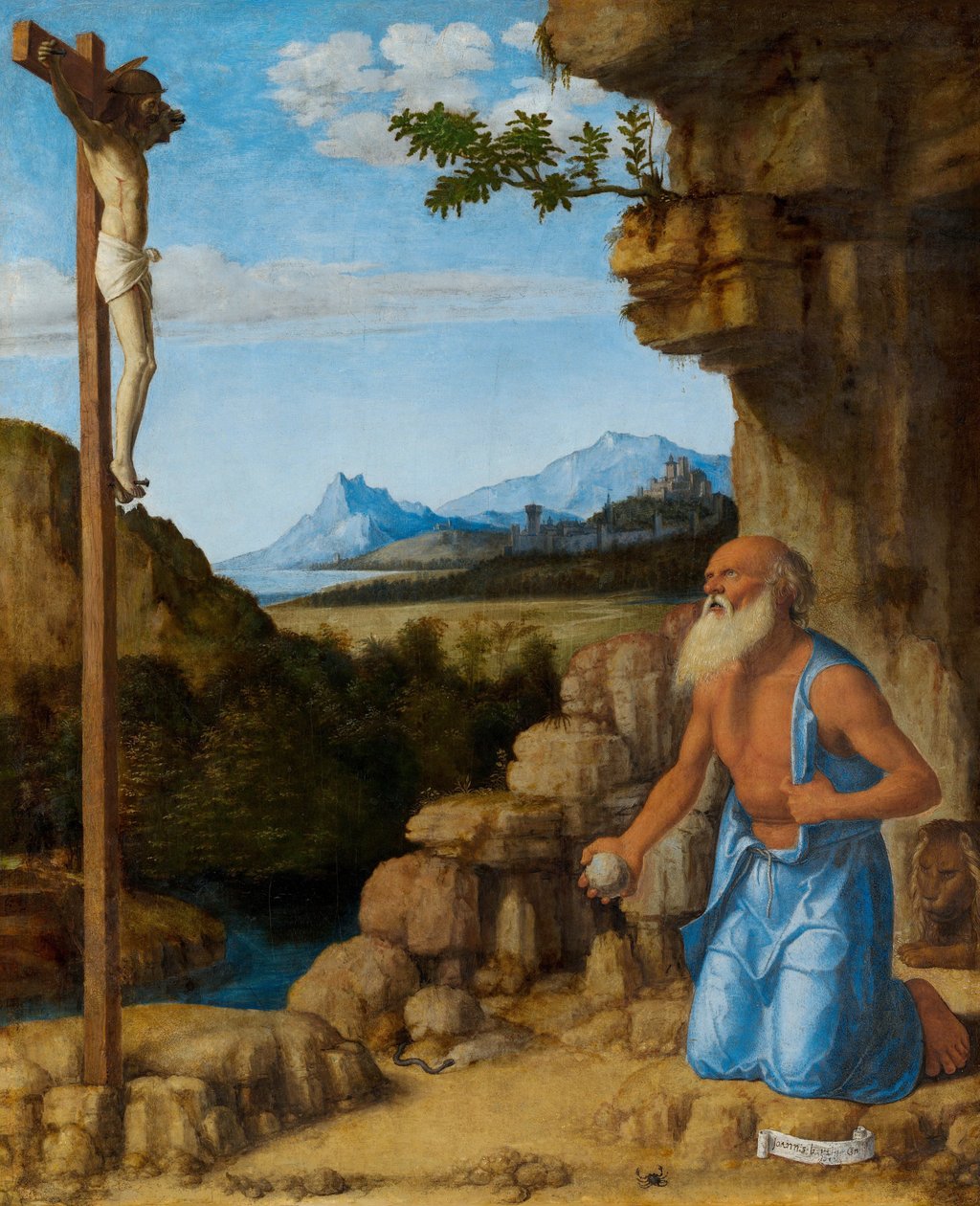 圣杰罗姆在荒野Cima da Conegliano 作者 Cima da Conegliano