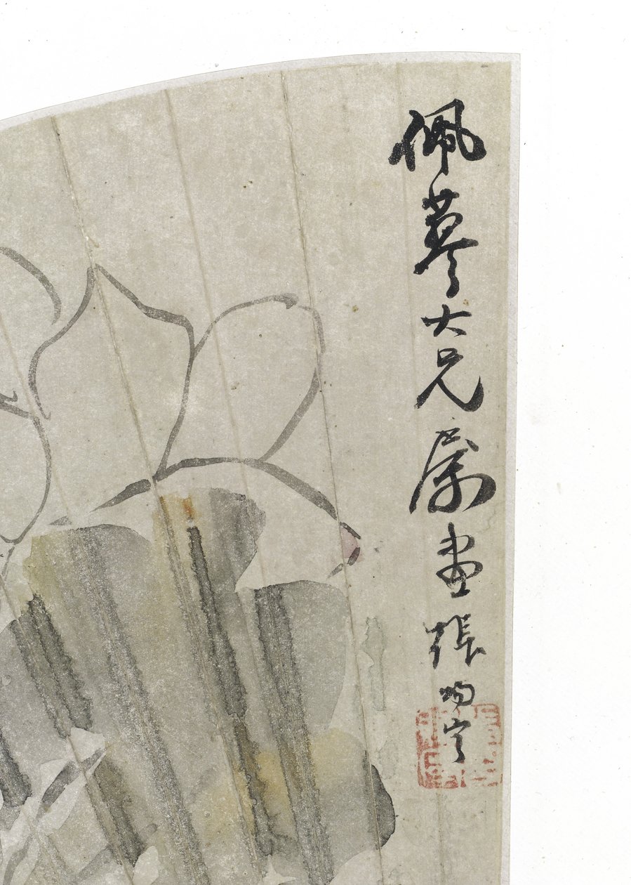莲花和叶子（纸上的墨水和浅色） 作者 张次宁