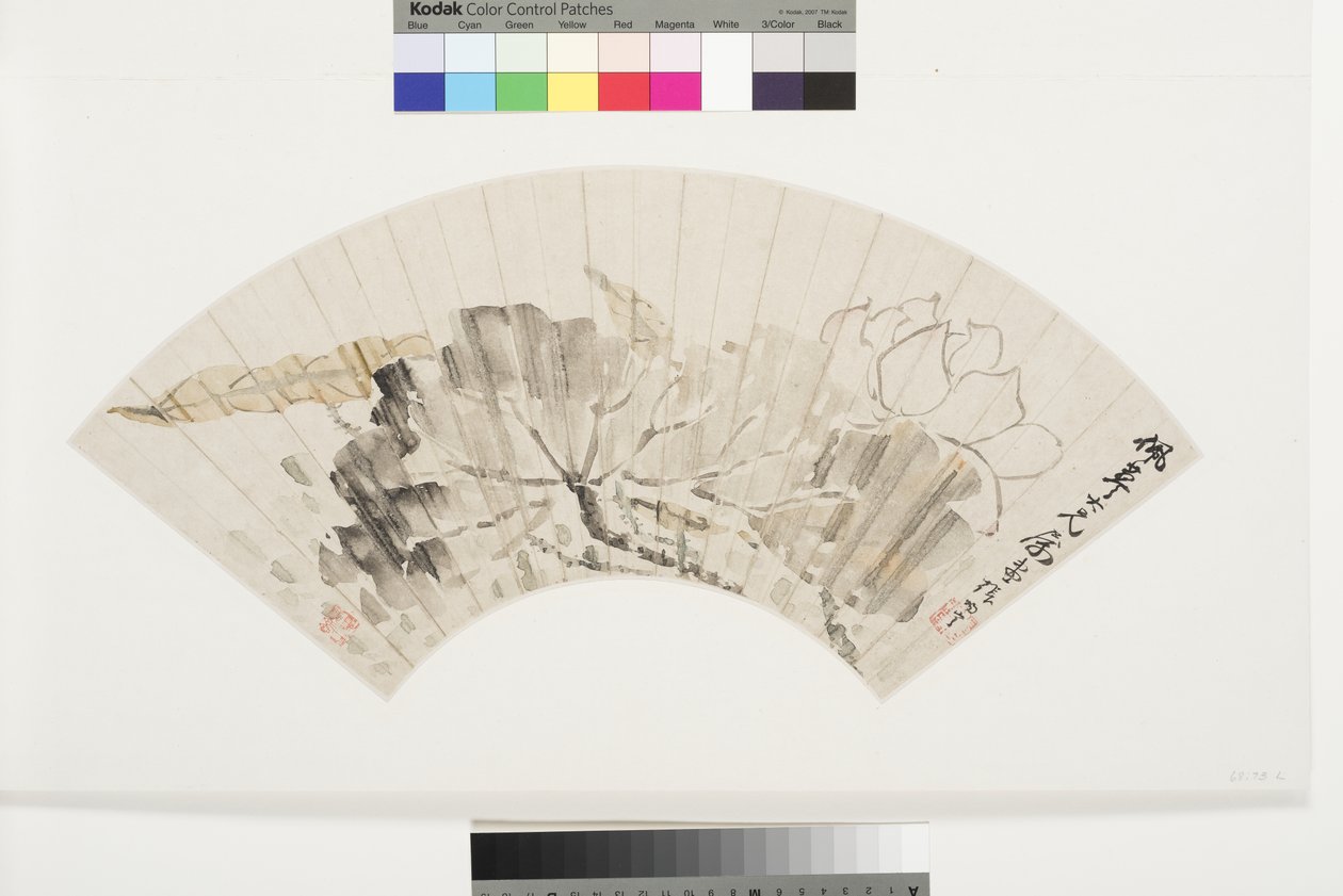 莲花和叶子，19世纪初（墨水和浅色纸上安装的云母纸） 作者 张次宁