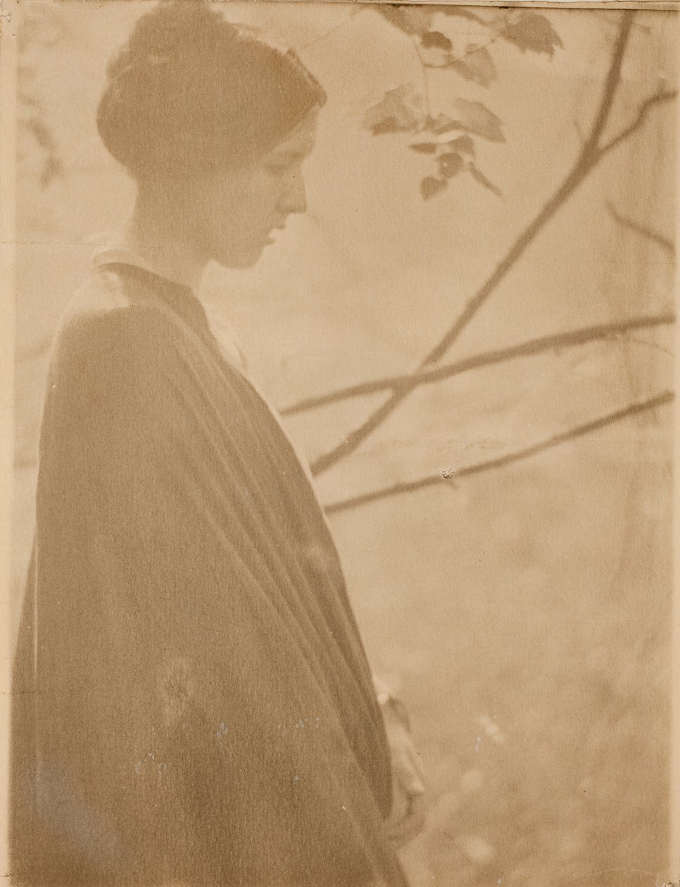 阳光》，1899年，1901年印刷。 作者 克拉伦斯 H 怀特
