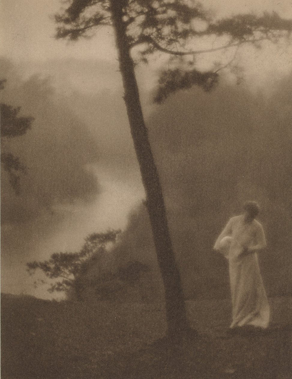 早晨，约 1905 年（照片） 作者 克拉伦斯·亨利·怀特