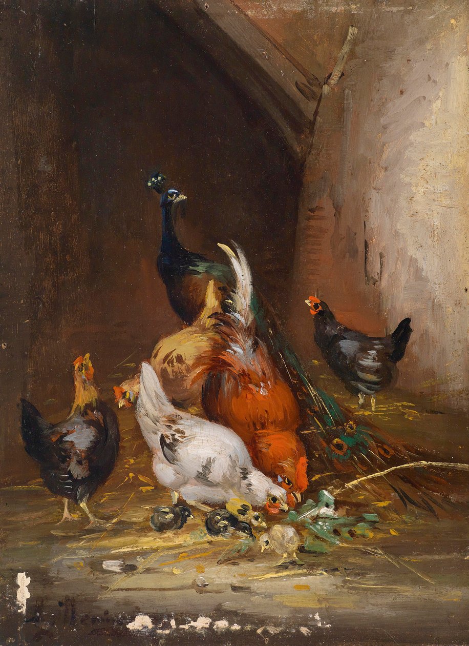鸡和孔雀 作者 克劳德（Claude Guilleminet）