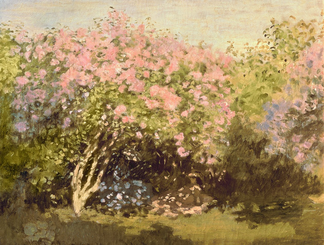 丁香在阳光下，1873年 作者 克劳德·莫奈