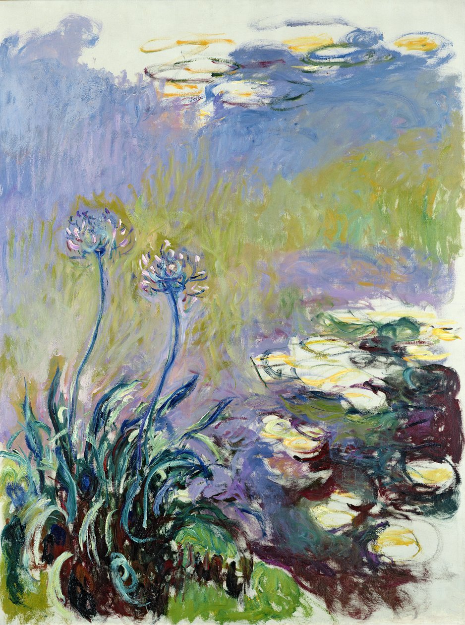 Agapanthus，1914-17 作者 克劳德·莫奈