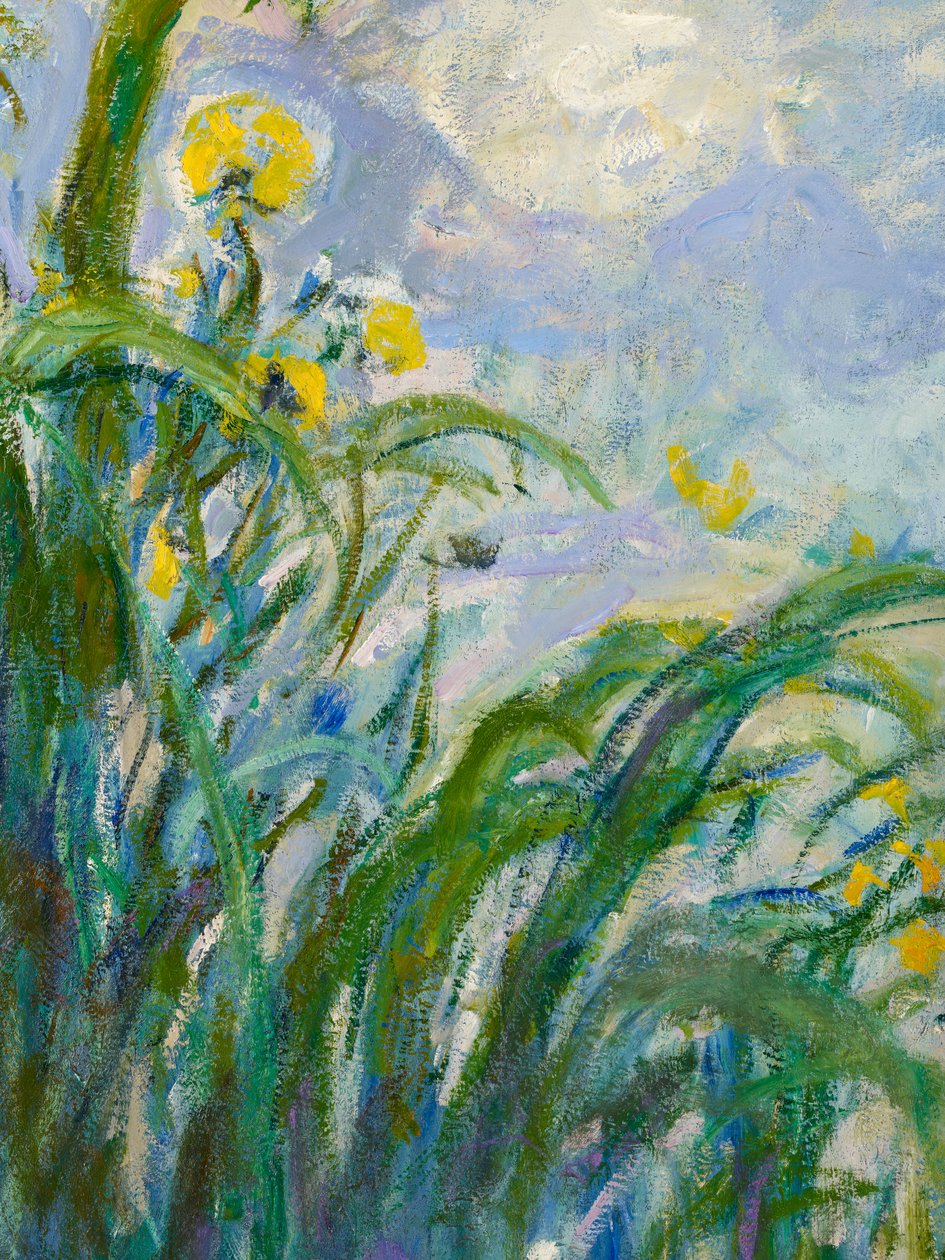 154652油画布黄色虹膜细节 作者 克劳德·莫奈