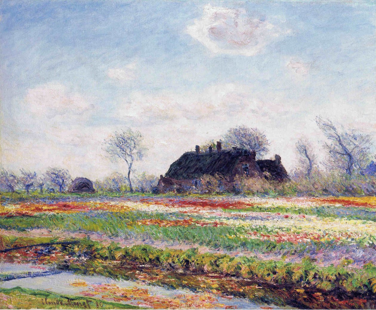 Tulpenfelder在萨森海姆 作者 克劳德·莫奈