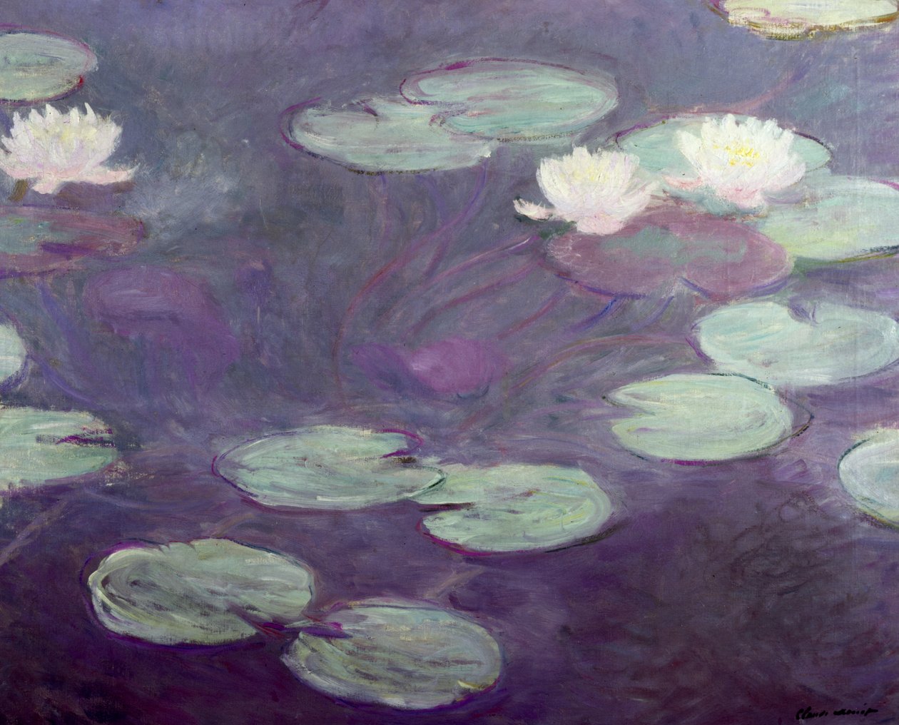 出水芙蓉 作者 克劳德·莫奈