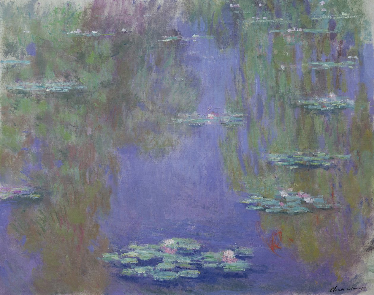 睡莲，1903年 作者 克劳德·莫奈