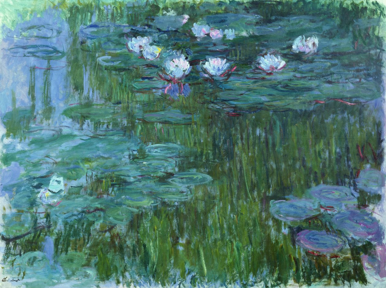 睡莲，1914-17（详见158601） 作者 克劳德·莫奈