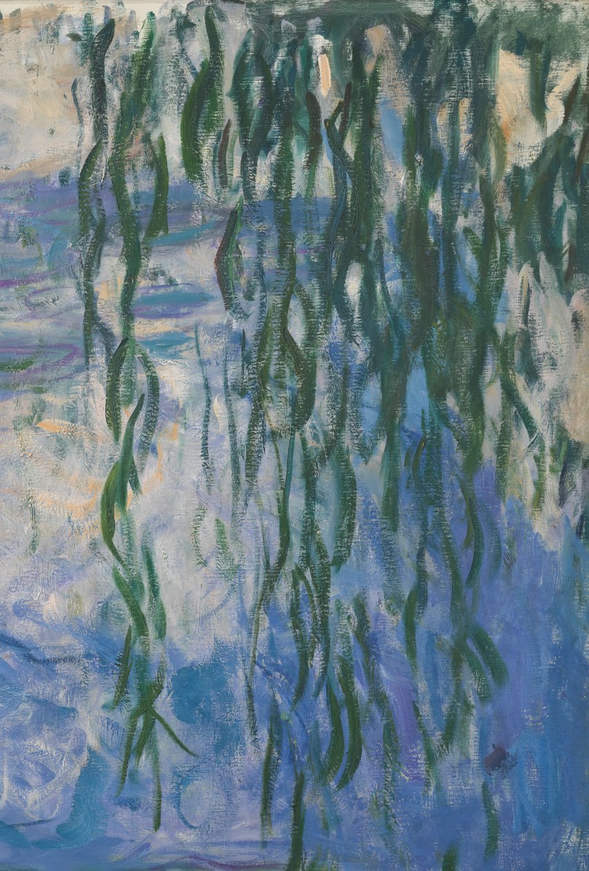 睡莲，1916-19油画布细节161015 作者 克劳德·莫奈