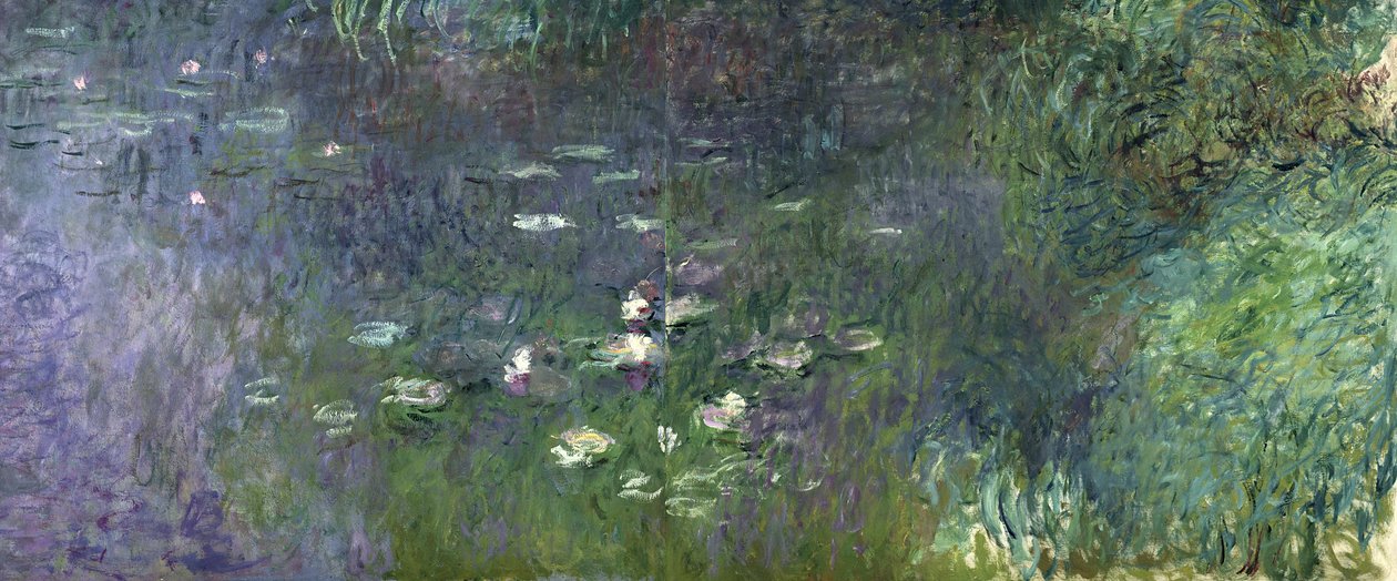 睡莲：早上，1914-18（右一节） 作者 克劳德·莫奈