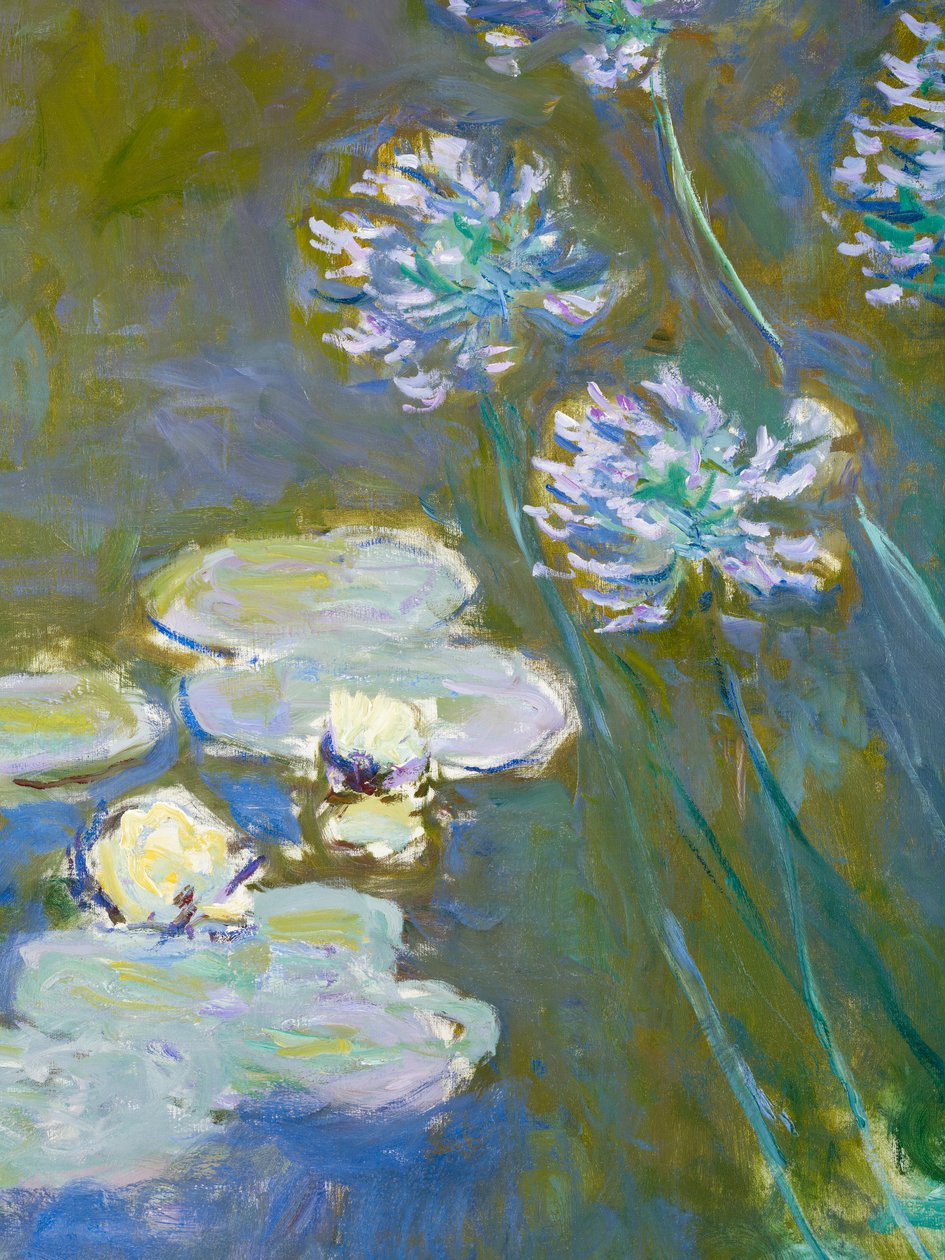 Waterlilies和Agapanthus，1914-17详细的82323油画布 作者 克劳德·莫奈