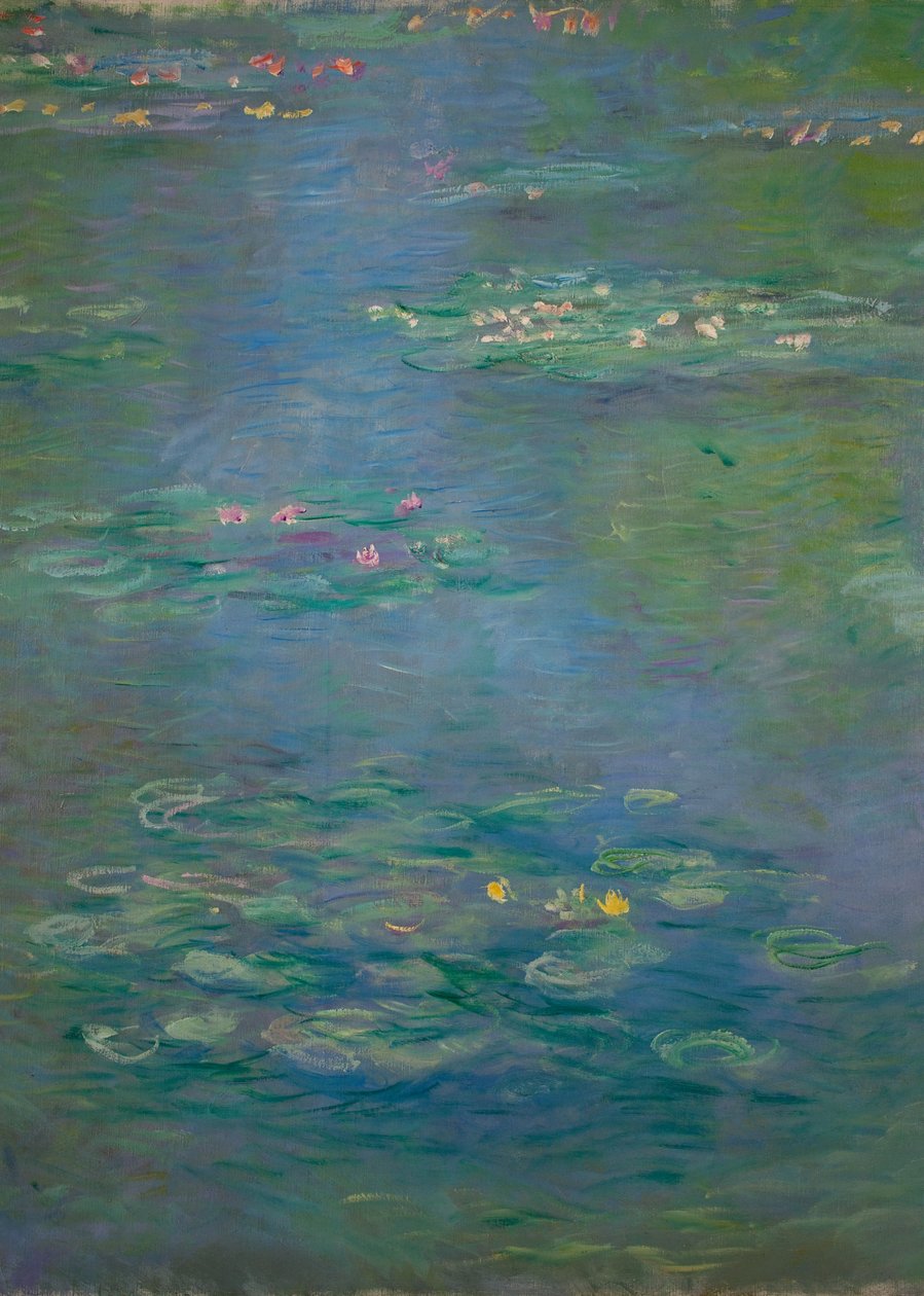 睡莲，细节，1903年（另见160198） 作者 克劳德·莫奈