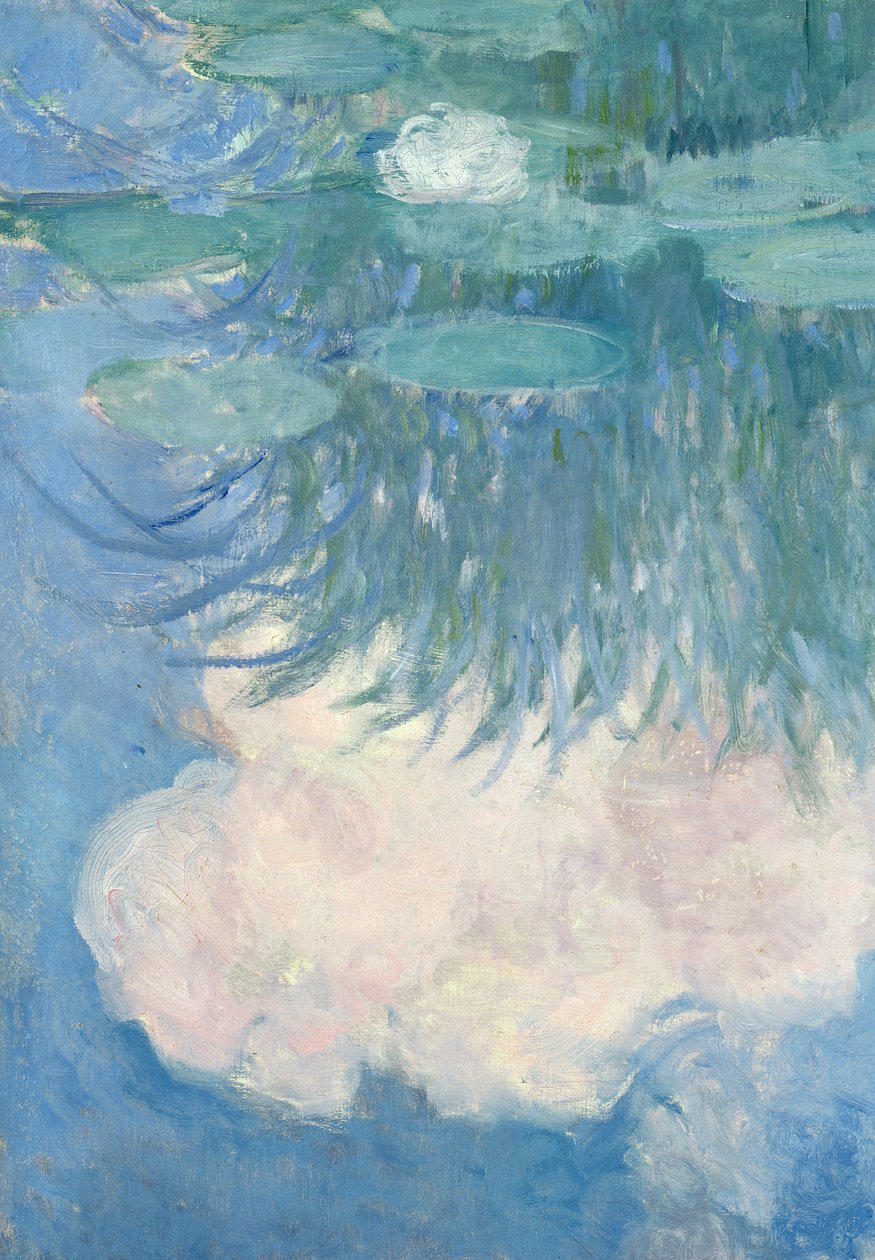 睡莲，细节，1914-17（另见82318） 作者 克劳德·莫奈