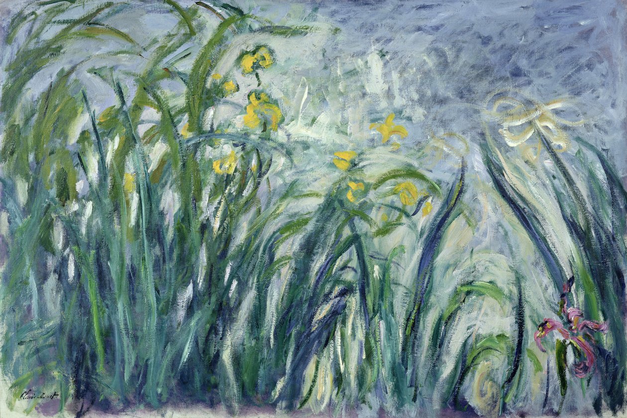 黄色和紫色鸢尾花，1924-25（见细节414407） 作者 克劳德·莫奈