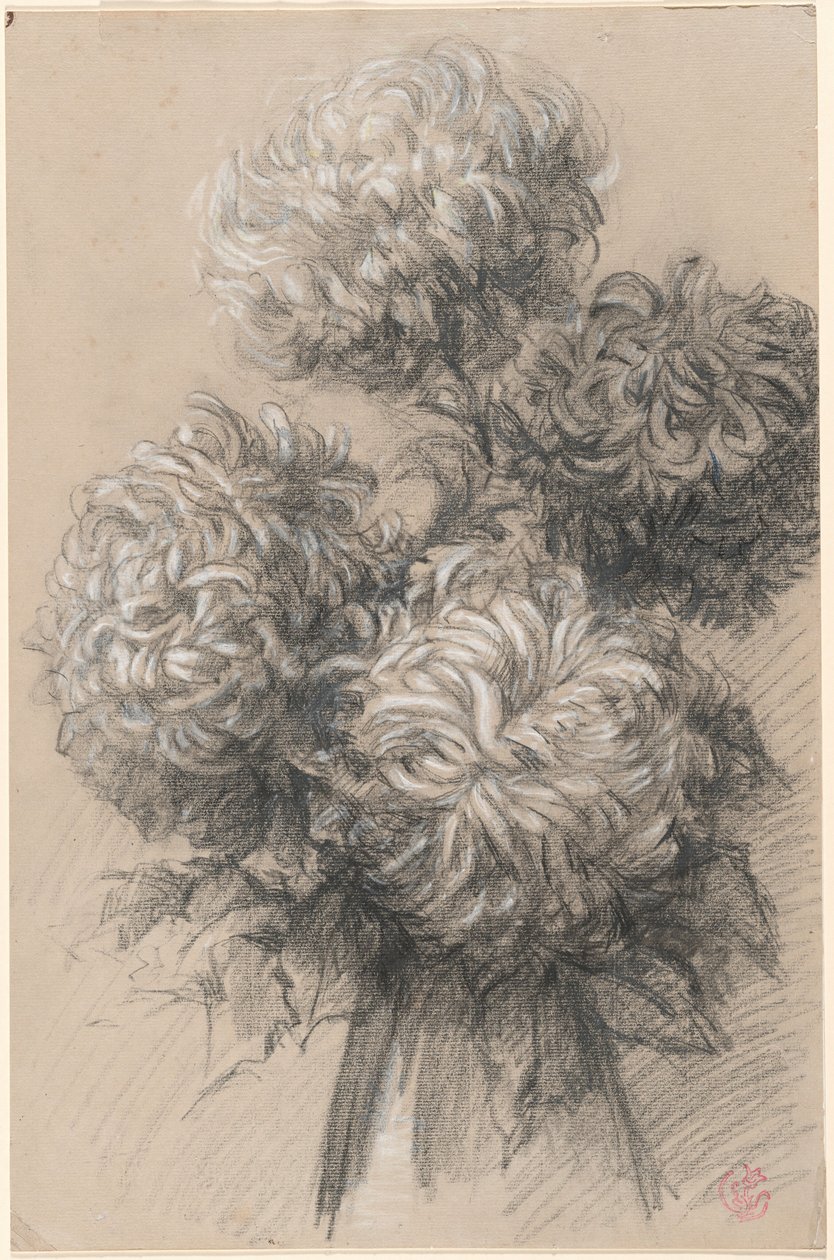 菊花 作者 克劳德·埃米尔·舒芬内克