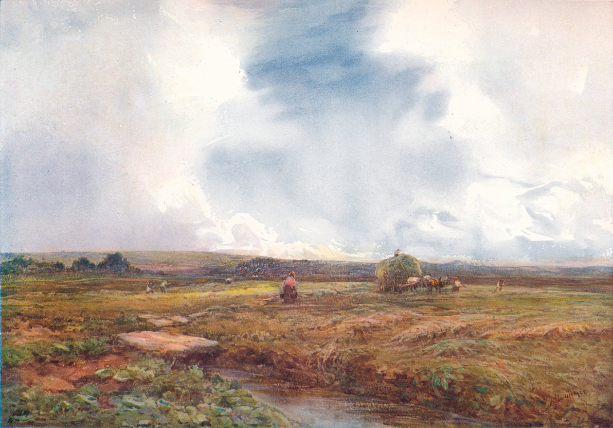 海菲尔德（Hayfield），1872-1906年，1906年。 作者 克劳德·海斯（Claude Hayes）
