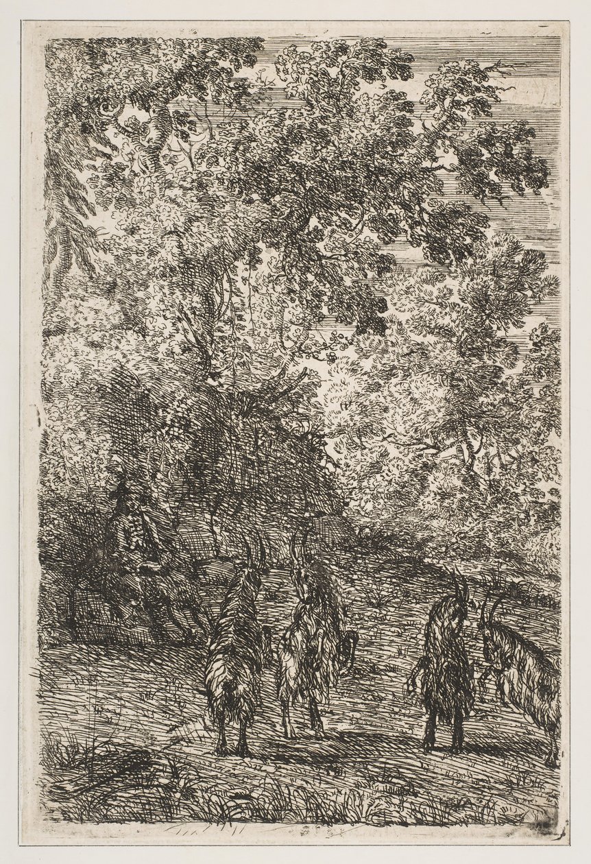 山羊的四只山羊左段，ca。 1630-33。 作者 克劳德·洛兰