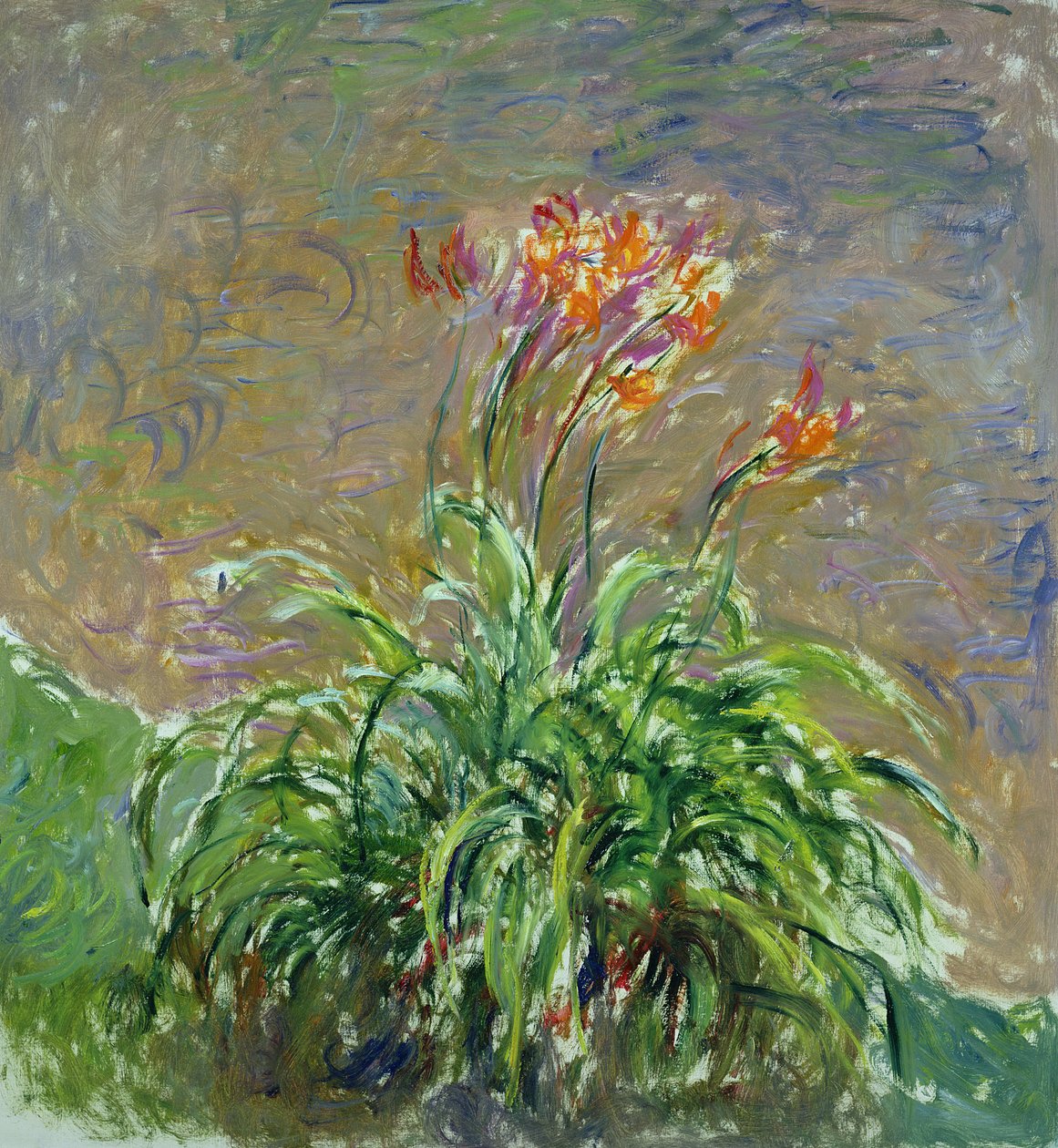 萱草，1914-17 作者 克劳德·莫奈