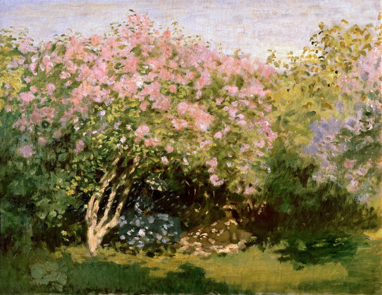 丁香花在阳光下，1872-1873年。 作者 克劳德·莫奈