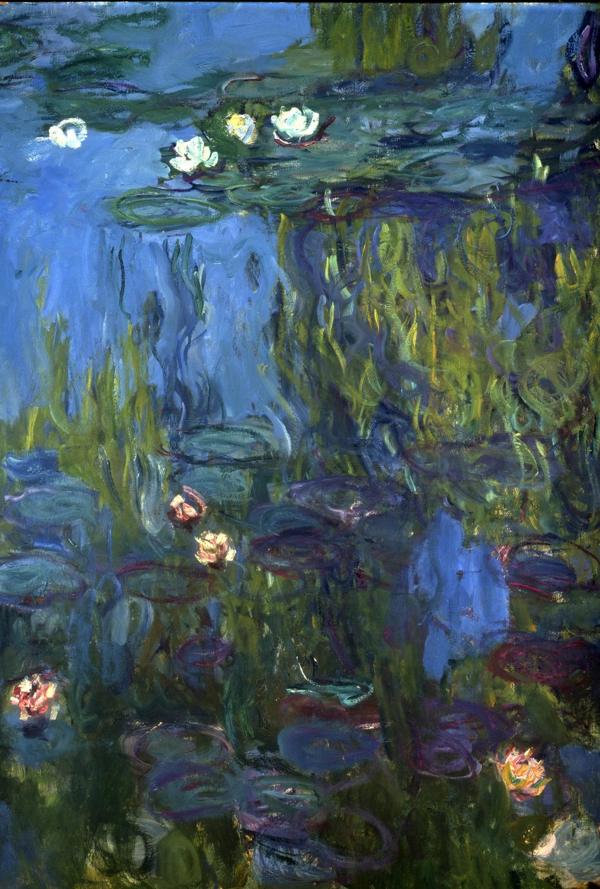 Nympheas，1914-17年 作者 克劳德·莫奈